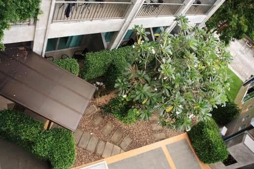 Room with Garden View