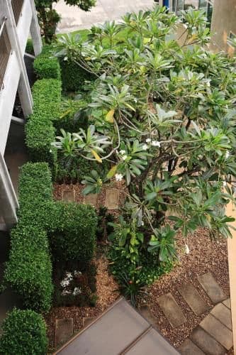 Room with Garden View