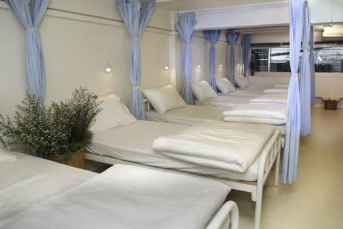 Single Bed in 9-Bed Mixed Dormitory Room