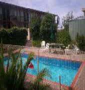 Festival Motor Inn
