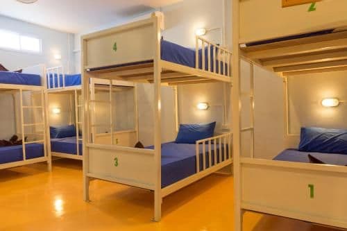 Bed in 10-Bed Mixed Dormitory Room