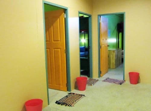 Bunk Bed in Mixed Dormitory Room