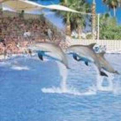 Aqualand Costa Adeje Aqualand Costa Adeje