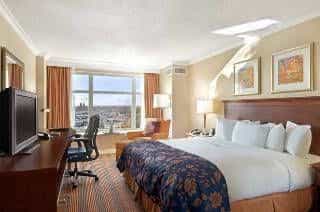 Hilton s