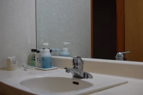 Japanese-Style Room