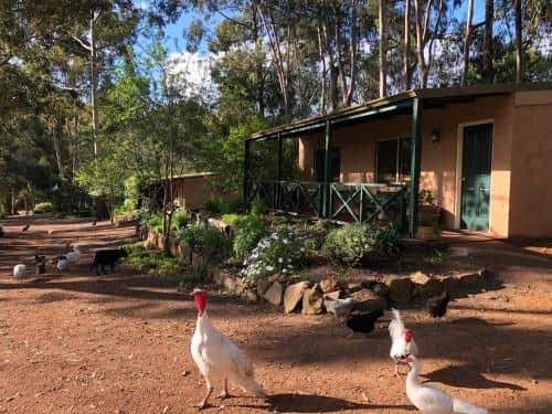 Country Cottages of Bridgetown Country Cottages of Bridgetown
