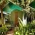 Jungle Lodge Jungle Lodge