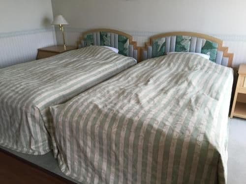 Economy Double or Twin Room