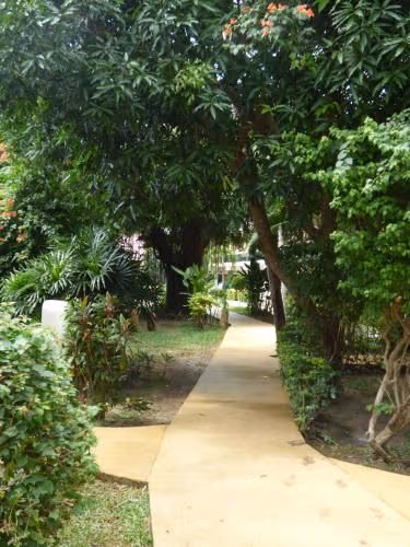 Bungalow