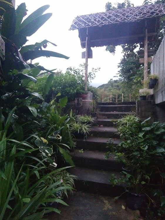Honey Homestay Honey Homestay