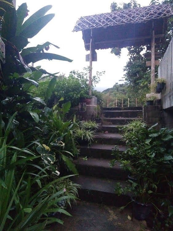 Honey Homestay Honey Homestay