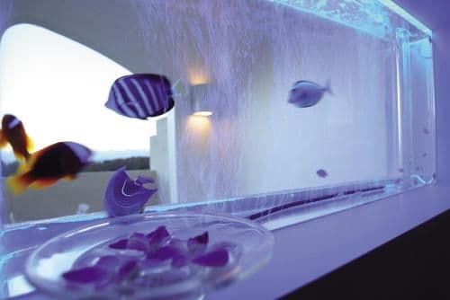 Suite with Open-Air Bath