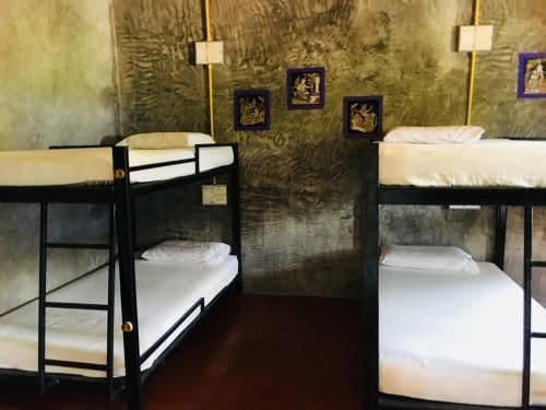 Bunk Bed in Mixed Dormitory Room