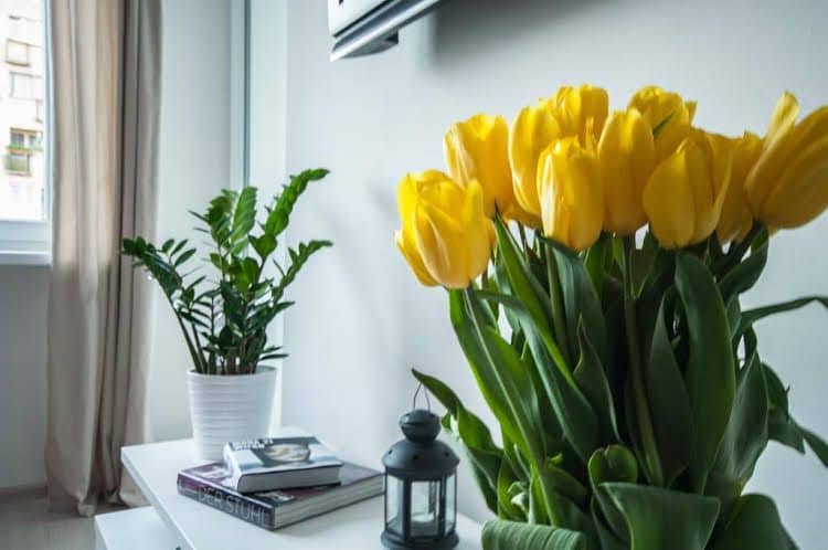 Apartament Panska by Your Freedom Apartament Panska by Your Freedom