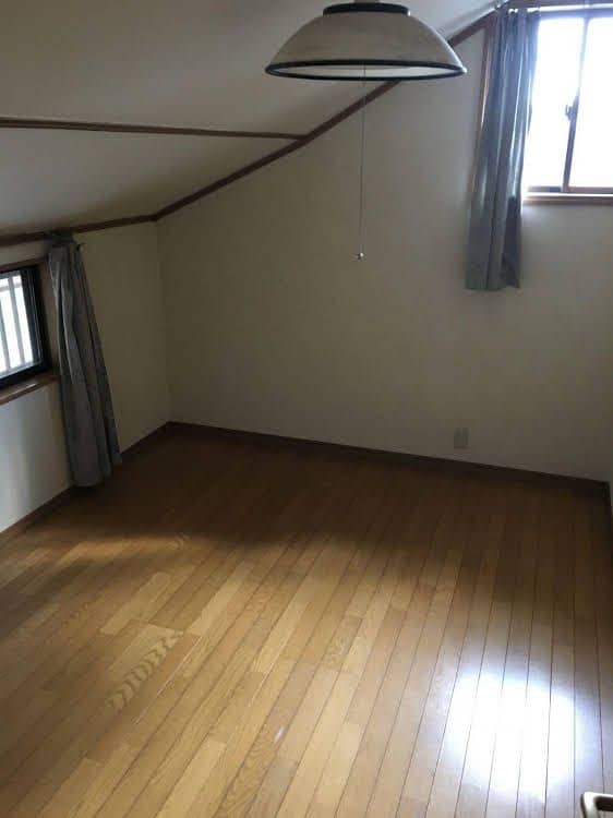 LUPINUS KAWAGUCHIKO LUPINUS KAWAGUCHIKO