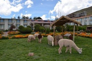Eco Inn Puno1