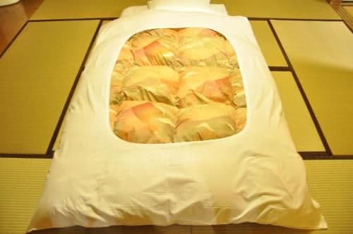 Superior Twin Room with Tatami Area and Private Bathroom