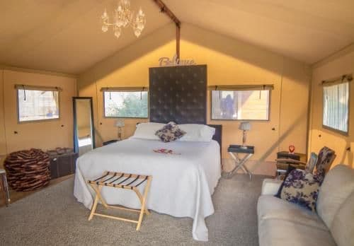 Tent
