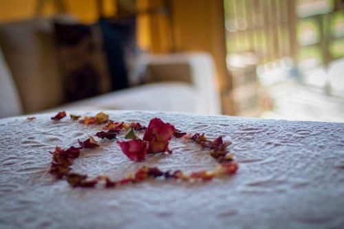 Country Retreat Glamping1