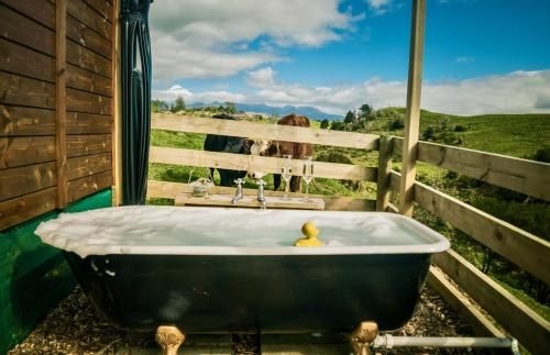 Country Retreat Glamping2