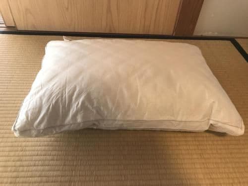 Bunk Bed in Mixed Dormitory Room