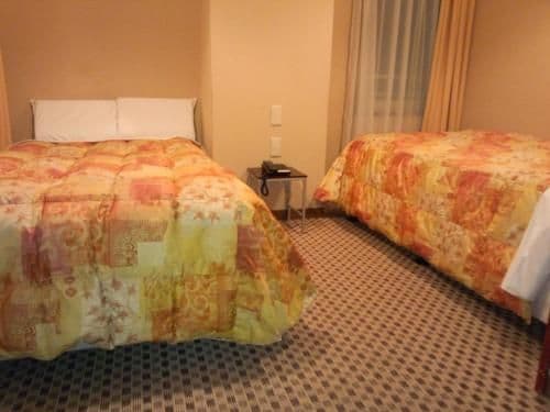 Twin Room - Non-Smoking