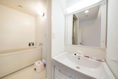 Japanese-Style Standard Room