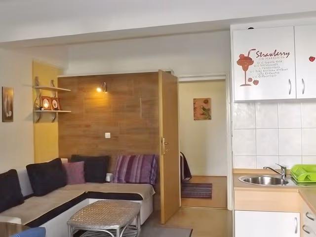 APARTMENT CAPACITY 3