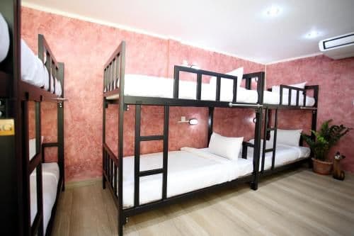 Bunk Bed in Female Dormitory Room