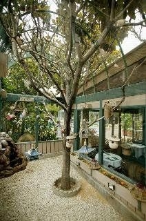 Best Western Plus Encina Lodge & Suites1