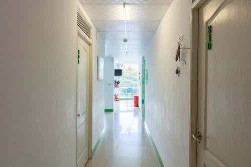 Pure Green Backpackers Pure Green Backpackers