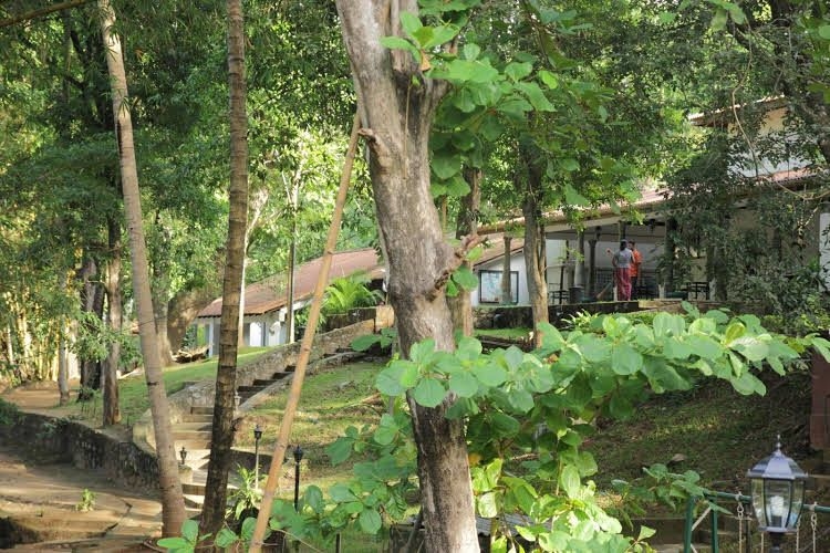 Dambulu Oya Family Park0
