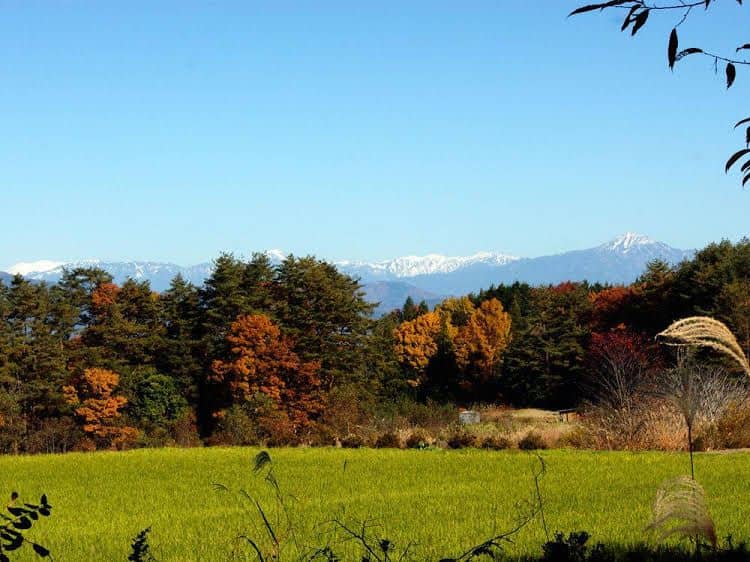 PENSION GOOD LUCK TAKAYAMA PENSION GOOD LUCK TAKAYAMA