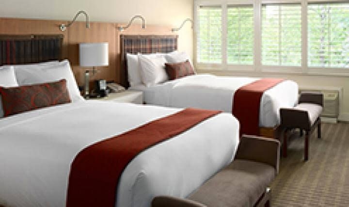 Tulip Hotel0