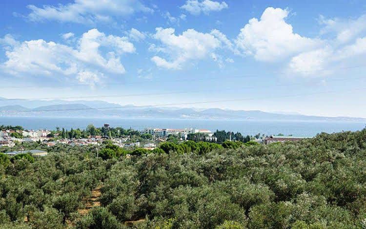 Elaia Thermal & Spa Hotel Elaia Thermal & Spa Hotel