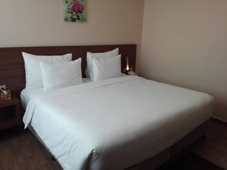 AH Hotel & Conference2