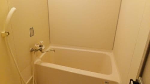 Japanese-Style Room