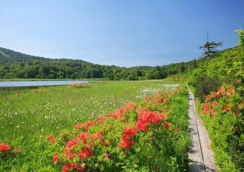 Tazawako Lake Resort & Onsen (Hotel Mori no Kaze Tazawako)2