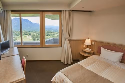 Single Room - Non-Smoking