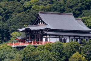 Kakimotoya Kakimotoya