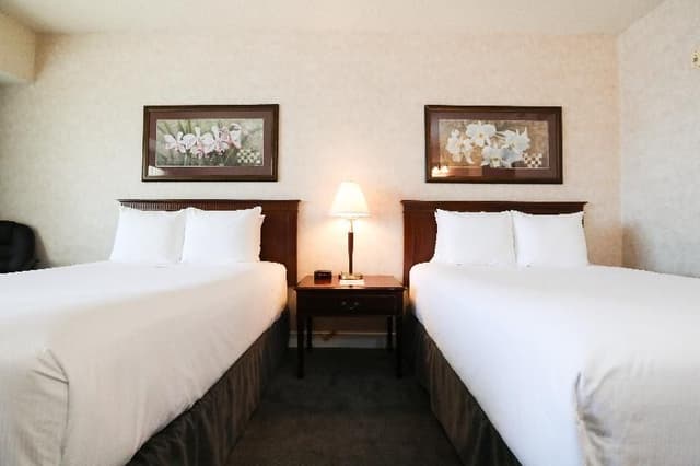 DOUBLE TWO DOUBLE BEDS