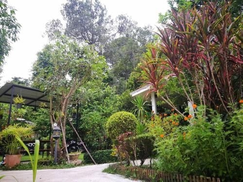 The Creek at Khao Yai3