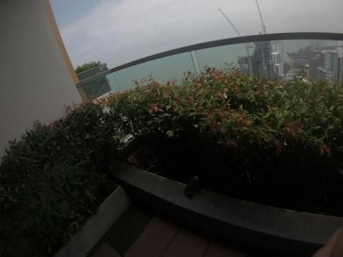 The Peak Towers condominium 24-054