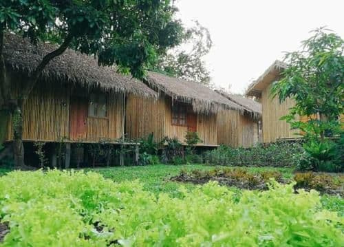 Double or Twin Room with Garden View