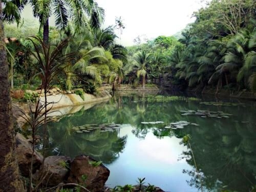 Baan Suan Farmstay3