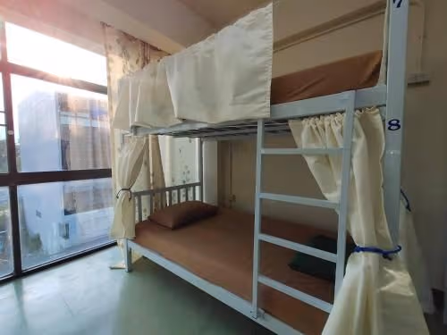 Bed in 10-Bed Mixed Dormitory Room