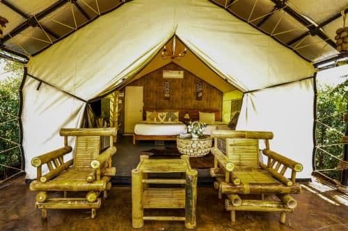 Tent