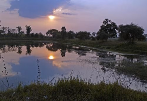 EiDI Homestay2