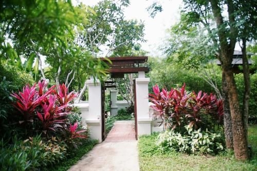 Doi Thin Nan Resort3