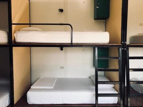Bunk Bed in Mixed Dormitory Room